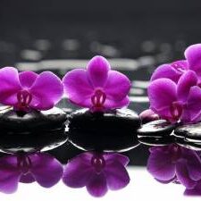 spa-wallpaper-purple-flowers-spa-stones-purple-flower-droplets-reflection-138828-1600x1200